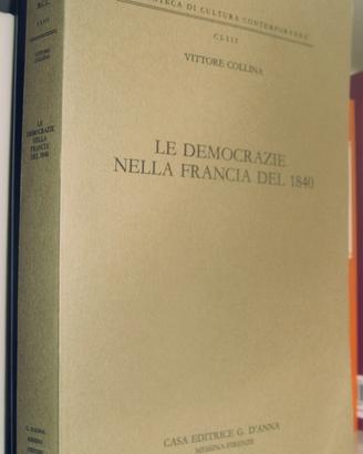 La democrazia nella Francia del 1840