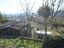 Immagine 19