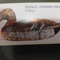 anatre da collezione 