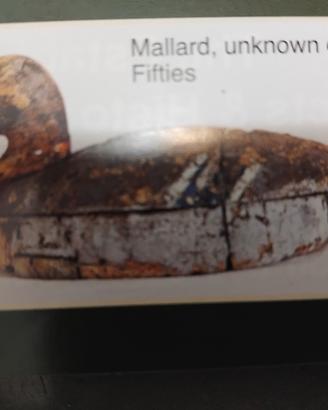 anatre da collezione 