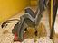 Immagine 3