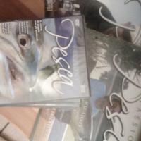 Collezione DVD+opuscolo "passione pesca" completa