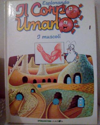 Esplorando il corpo umano