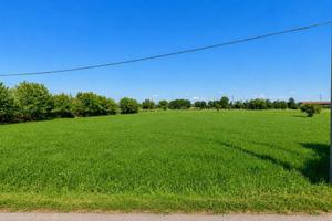 Terreno di 7440 m² a Lonato del Garda