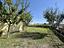 Immagine 28