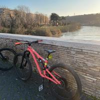 Specialized stumpjumper 2022 enduro
