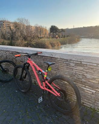 Specialized stumpjumper 2022 enduro downhill whell