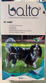 Tutore Balto