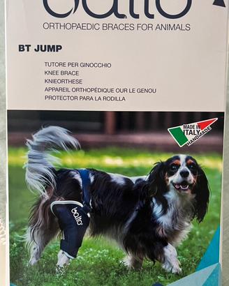 Tutore Balto