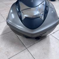 Bauletto sh 300 sport