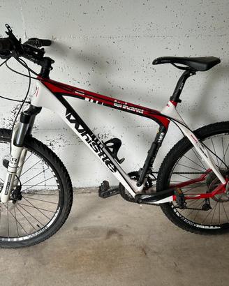 Mountain bike in carbonio