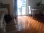 Immagine 13