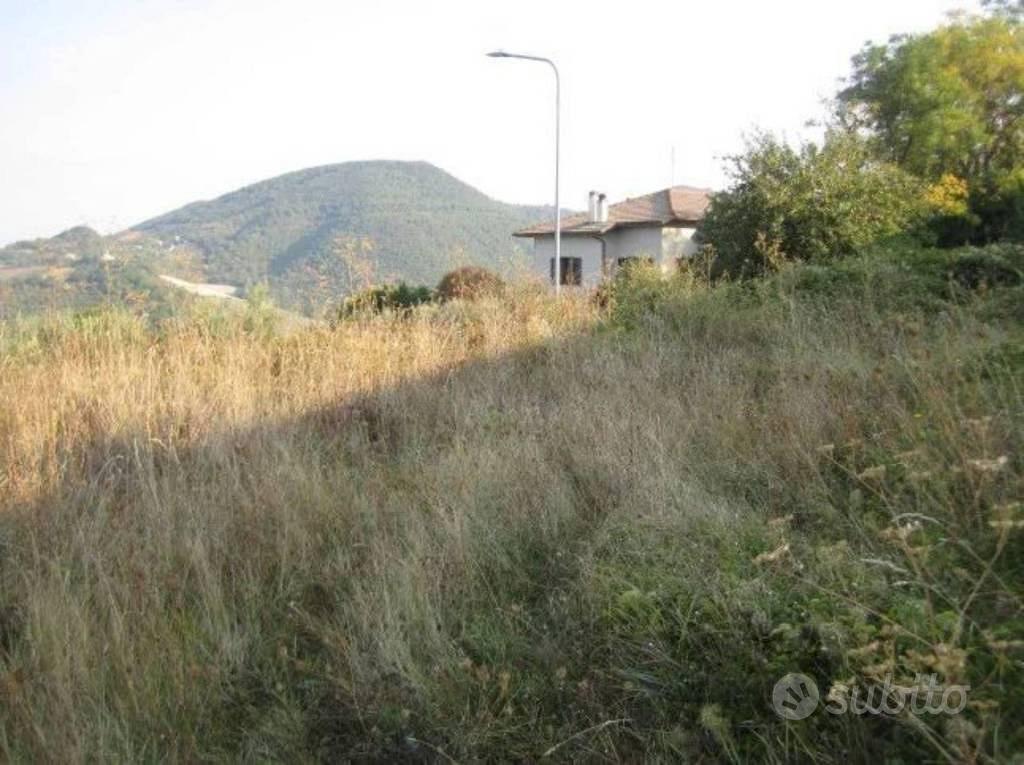 Immobile in asta di 5546 m² a Arcevia - Vista 4