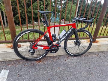 telaio bici da corsa cipollini