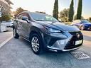 lexus-nx-300h-hybrid-4wd-business