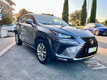 Lexus NX 300h Hybrid 4WD Business