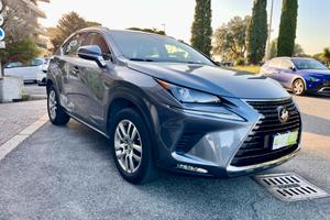 Lexus NX 300h Hybrid 4WD Business
