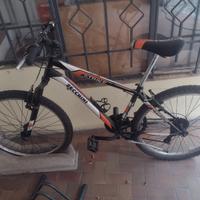 Mountain Bike Zecchini