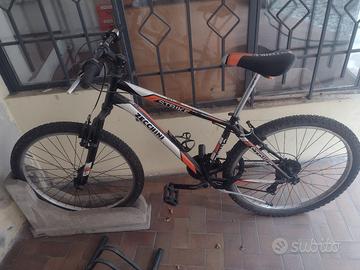 Mountain Bike Zecchini