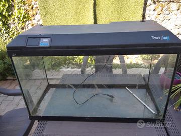 acquario
