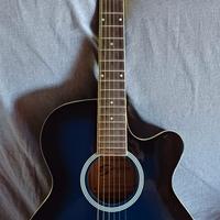 Chitarra acustica elettrificata