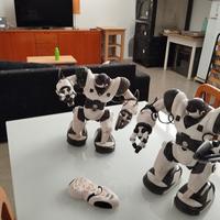 Homosapiens Robot 