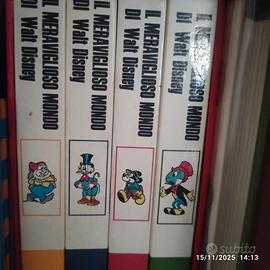 Il meraviglioso mondo di Walt Disney