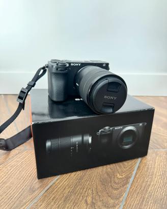 Sony Alpha 6700 + 18-135mm f/3.5-5.6 OIS