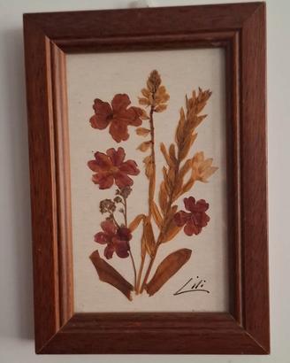 Quadro con fiori secchi misura 13x9