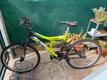 Bici da ragazzo