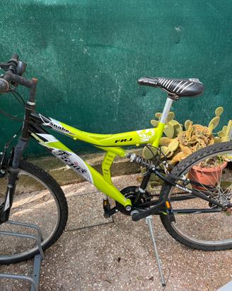 Bici da ragazzo