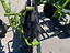 Immagine 10