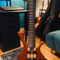 LAURUS QUASAR T600 GRAPHITE 6 corde