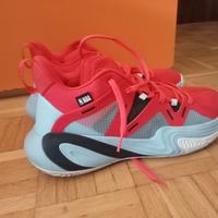 scarpe da ginnastica nba