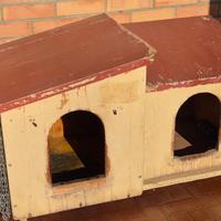 cuccia per cane taglia piccola