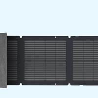Pannello Solare Portatile da 110 Watt EcoFlow