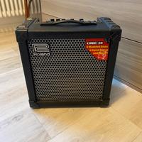 Roland cube 30