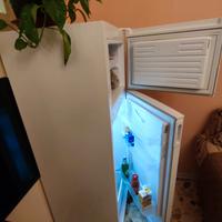frigo