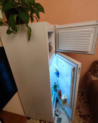 frigo
