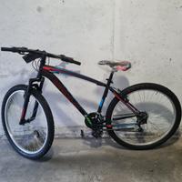 Bici sportiva