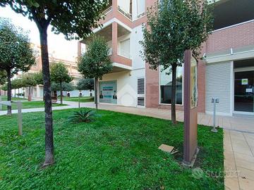 MULTILOCALE A PINETO