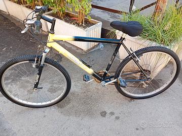 bici MTB 26 lombardo