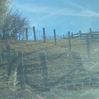 Pali legno diametro 22/23 cm larice