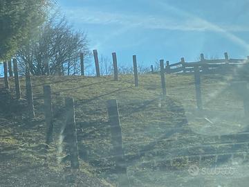 Pali legno diametro 22/23 cm larice