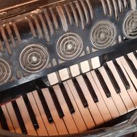 Fisarmonica Paolo Soprani