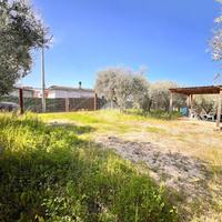 TER. AGRICOLO A VELLETRI