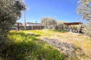 TER. AGRICOLO A VELLETRI