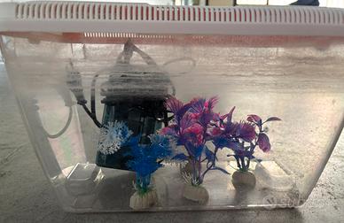 Vaschetta-acquario pesci con alghe finte e filtro