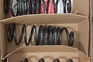 molle eibach polo gti 