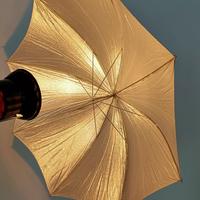 Ombrello Fotografia luce flash/continua